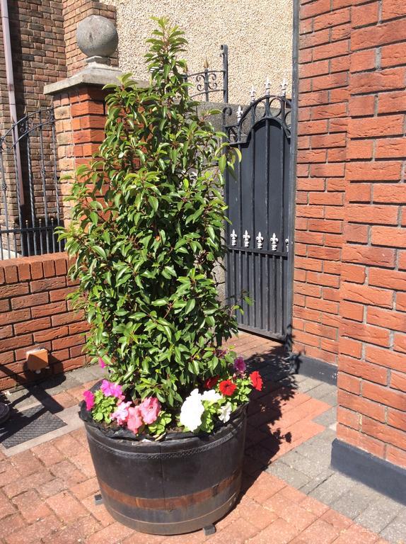 Westwinds Guestlodge Galway Exterior foto